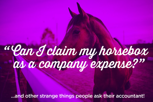 My Accountant Friend